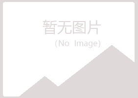 宁夏盼山水泥有限公司